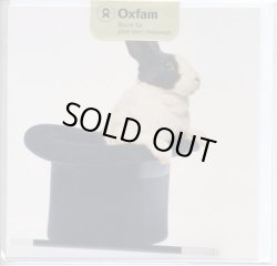 画像1: 【イギリス】OXFAM うさぎメッセージカード　